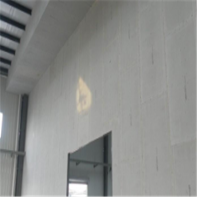 新河宁波ALC板|EPS加气板隔墙与混凝土整浇联接的实验研讨